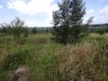 Działka budowlana 906&nbsp;m², Zawonia, Wiosenna - zdjęcie 3