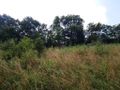 Działka budowlana 906&nbsp;m², Zawonia, Wiosenna - zdjęcie 4