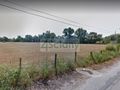 Działka budowlana 5054&nbsp;m², Boża Wola - zdjęcie 1