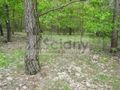 Działka budowlana 6800 m², Marynin - zdjęcie 2