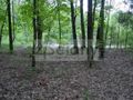 Działka budowlana 6800 m², Marynin - zdjęcie 3