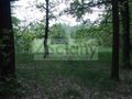 Działka budowlana 6800 m², Marynin - zdjęcie 4