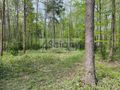 Działka budowlana 2761 m², Podkowa Leśna - zdjęcie 1