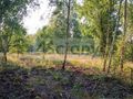 Działka budowlana 1500&nbsp;m², Czarny Las - zdjęcie 3