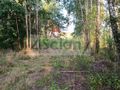 Działka budowlana 1500&nbsp;m², Czarny Las - zdjęcie 4