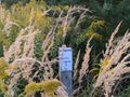 Działka inwestycyjna 1359 m², Borowa - zdjęcie 4