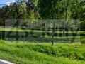 Działka budowlana 1,79&nbsp;ha, Nadarzyn - zdjęcie 1