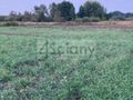 Działka budowlana 1500&nbsp;m², Warszawa - zdjęcie 1