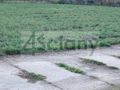 Działka budowlana 1500&nbsp;m², Warszawa - zdjęcie 3