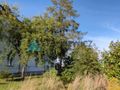 Duża działka - POTENCJAŁ INWESTYCYJNY - Centrum - zdjęcie 3