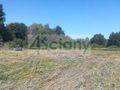 Działka budowlana 1,80 ha, Podkowa Leśna - zdjęcie 2