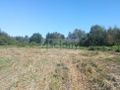 Działka budowlana 1,80 ha, Podkowa Leśna - zdjęcie 6