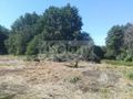 Działka budowlana 1,80 ha, Podkowa Leśna - zdjęcie 1