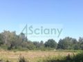 Działka budowlana 1,80 ha, Podkowa Leśna - zdjęcie 3