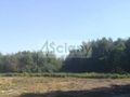Działka budowlana 1,80 ha, Podkowa Leśna - zdjęcie 4