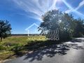 Działka rolna 4,05 ha, Staw - zdjęcie 4
