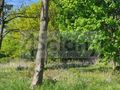 Działka budowlana 1274&nbsp;m², Parzniew - zdjęcie 1