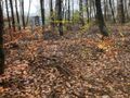 Działka rolna 3300 m², Ignatów - zdjęcie 1