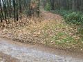 Działka rolna 3300 m², Ignatów - zdjęcie 3