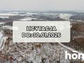 Działka inwestycyjna 1,60 ha, Pogalewo Wielkie - zdjęcie 1