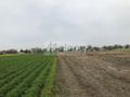 Działka inwestycyjna 5,74&nbsp;ha, Płochocin - zdjęcie 2