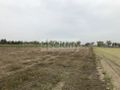 Działka inwestycyjna 5,74&nbsp;ha, Płochocin - zdjęcie 1
