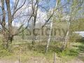 Działka budowlana 780&nbsp;m², Adamowizna - zdjęcie 1
