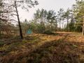 Działka kilka kroków od jeziora- Linia Zakrzewo - zdjęcie 3