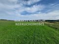 Działka budowlana 1,09&nbsp;ha, Lipinki - zdjęcie 4