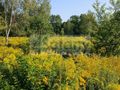 Działka budowlana 2210&nbsp;m², Milanówek - zdjęcie 1