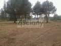 Działka budowlana 9385 m², Strzeniówka - zdjęcie 1