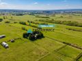 Działka Karwieńskie Błota II 434 m2 - zdjęcie 1
