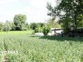 Działka budowlana 3281 m², Przesławice - zdjęcie 2