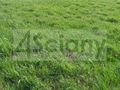 Działka budowlana 2114&nbsp;m², Wolica - zdjęcie 4