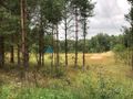 Działka budowlana otulinie lasu - zdjęcie 6
