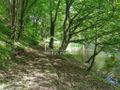 Działka budowlana 2010 m², Barnimie - zdjęcie 6