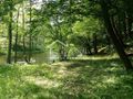 Działka budowlana 2010 m², Barnimie - zdjęcie 2
