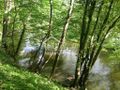 Działka budowlana 2010 m², Barnimie - zdjęcie 5