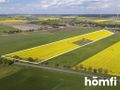 Działka inwestycyjna 6,60 ha, Gościejewo - zdjęcie 1