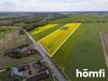 Działka inwestycyjna 6,60 ha, Gościejewo - zdjęcie 3