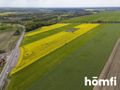 Działka inwestycyjna 6,60 ha, Gościejewo - zdjęcie 5