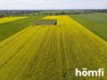 Działka inwestycyjna 6,60 ha, Gościejewo - zdjęcie 6
