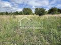 Działka budowlana 4446 m², Dołuje - zdjęcie 3