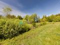 Atrakcyjna działka nad jeziorem 4500m2 - zdjęcie 4