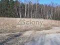 Działka rekreacyjna 3000 m², Wycześniak - zdjęcie 1