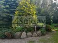 Dom 450&nbsp;m², Praslity - zdjęcie 3