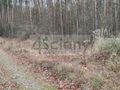 Działka rekreacyjna 1,10 ha, Wycześniak - zdjęcie 6