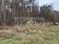 Działka rekreacyjna 1,10 ha, Wycześniak - zdjęcie 3