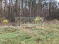 Działka rekreacyjna 1,10 ha, Wycześniak - zdjęcie 2