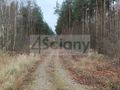 Działka rekreacyjna 1,10 ha, Wycześniak - zdjęcie 4